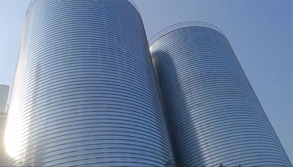 嘉兴2座混凝土高架卷板仓